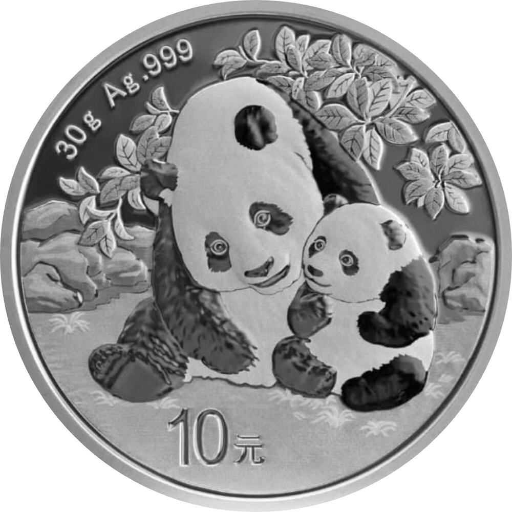 China Panda 2024 30 Gramm Silber, 35,14